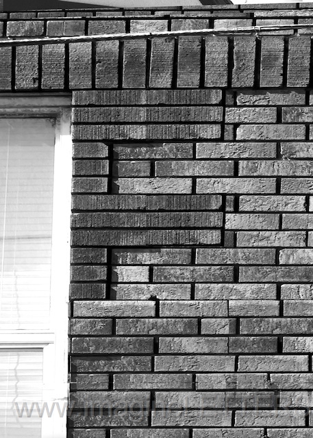 Wall_Art_Alphabet_Photography_Art_ 579.jpg